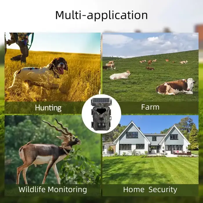 Caméra de chasse 4K vision nocturne infrarouge étanche IP65 surveillance cerfs sécurité jardin