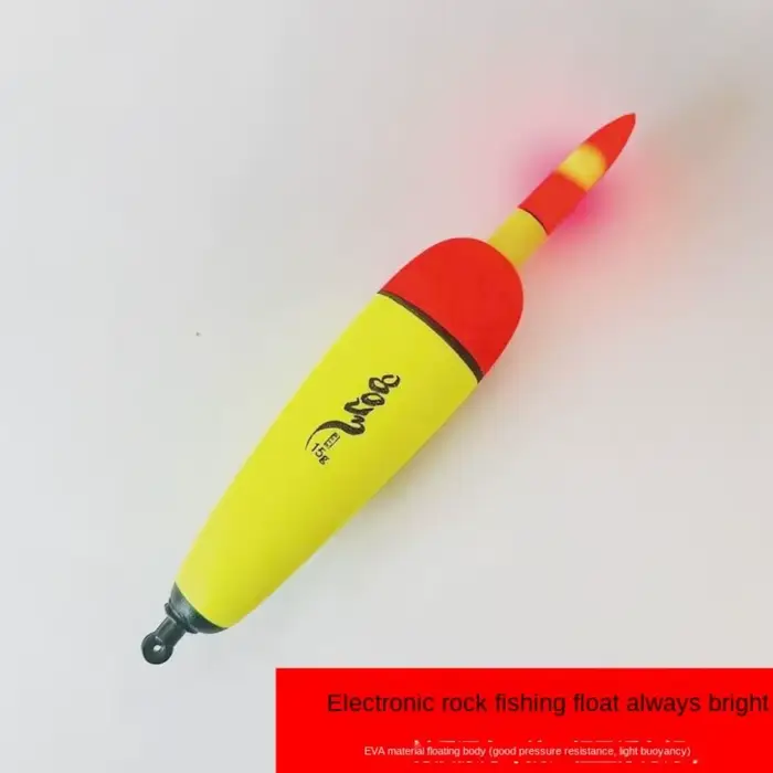 Flotteur de pêche lumineux EVA 10g-120g électronique pour pêche de nuit en mer et roche
