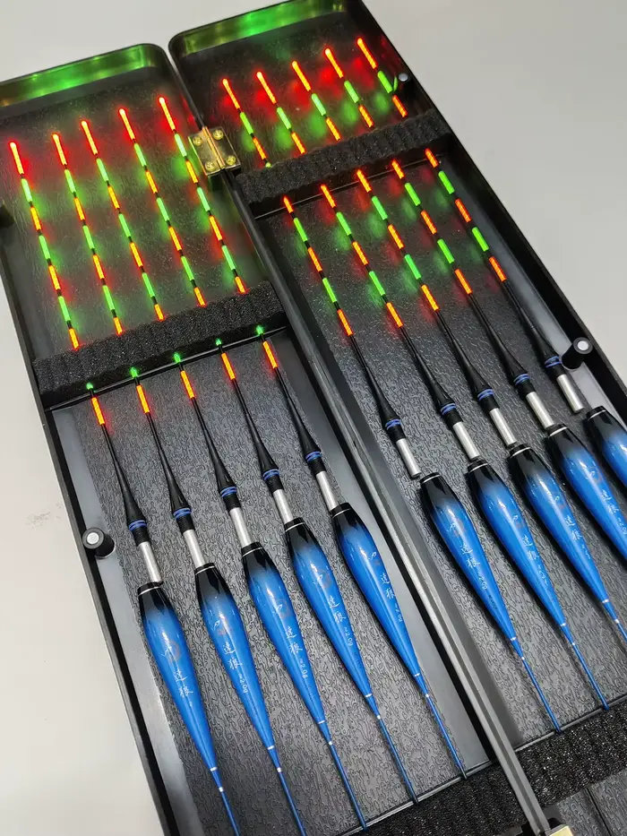 10 flotteurs de pêche lumineux électroniques pour carpe et queue nuage, visibles jour et nuit