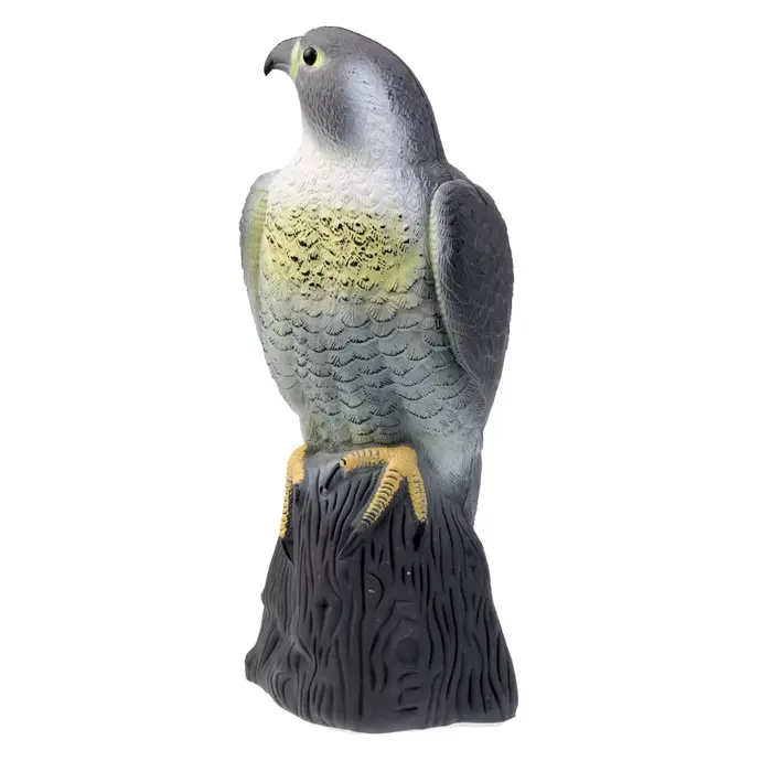 Leurre aigle 3D réaliste pour chasse oiseaux et épouvantail pigeons - Protection jardin