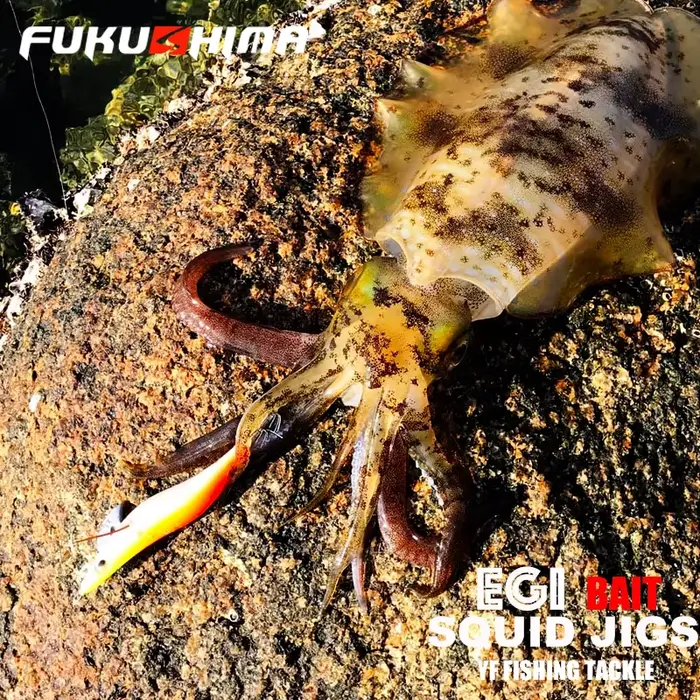 Leurre Egi Fukushima 2-3.5 pour Calamar et Seiche, Appât Crevette Fluorescent avec Hooks Aiguisés 21g Pêche