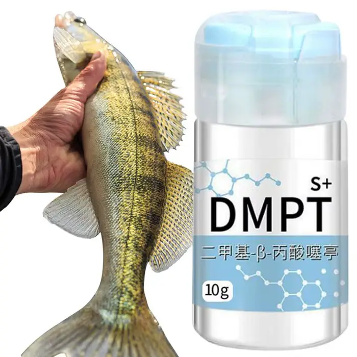 Appât liquide DMTP concentré pour pêche - Attractant puissant à base d'appâts vivants pour tous poissons
