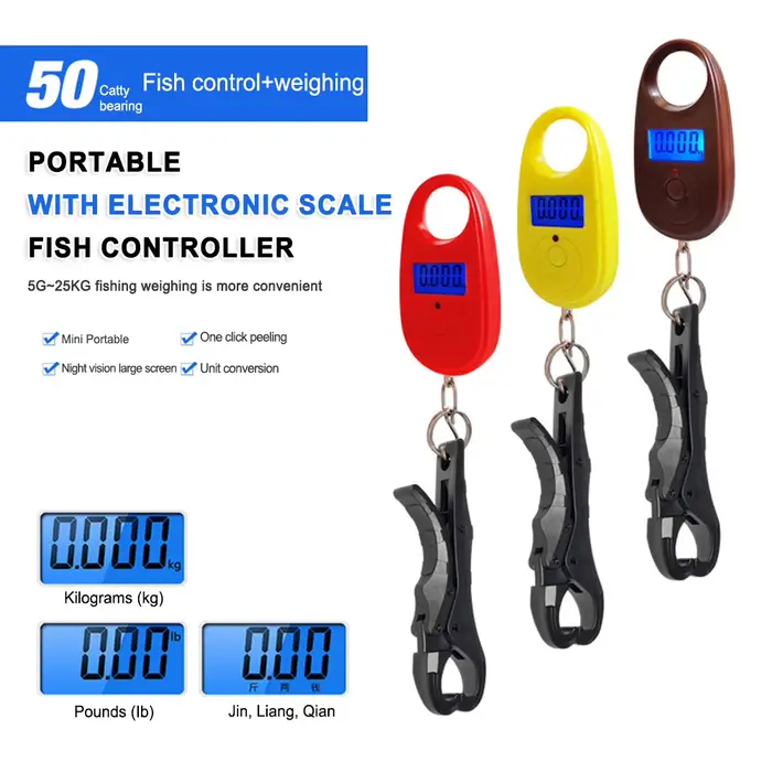 Balance électronique 40kg avec pince à poissons - Mini digitale portable pour pêche outdoor précise