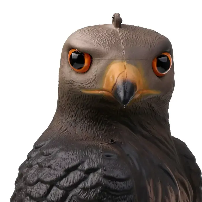 Leurre aigle faucon réaliste pour piège oiseaux et épouvantail terrasse - Déco jardin contrôle