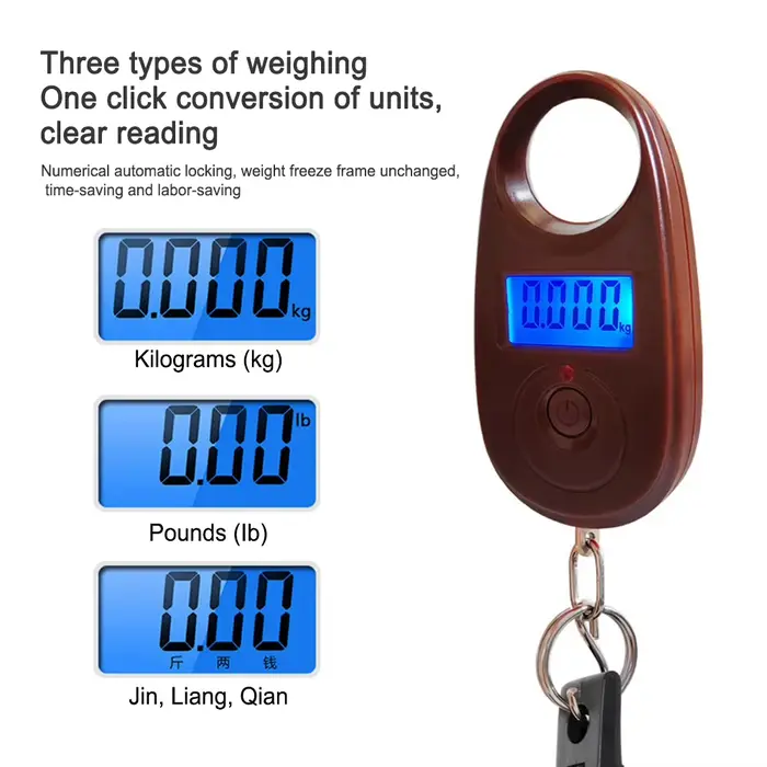 Mini balance digitale portative 40kg avec pince à poisson - peson électronique pour pêche, contrôle de prise