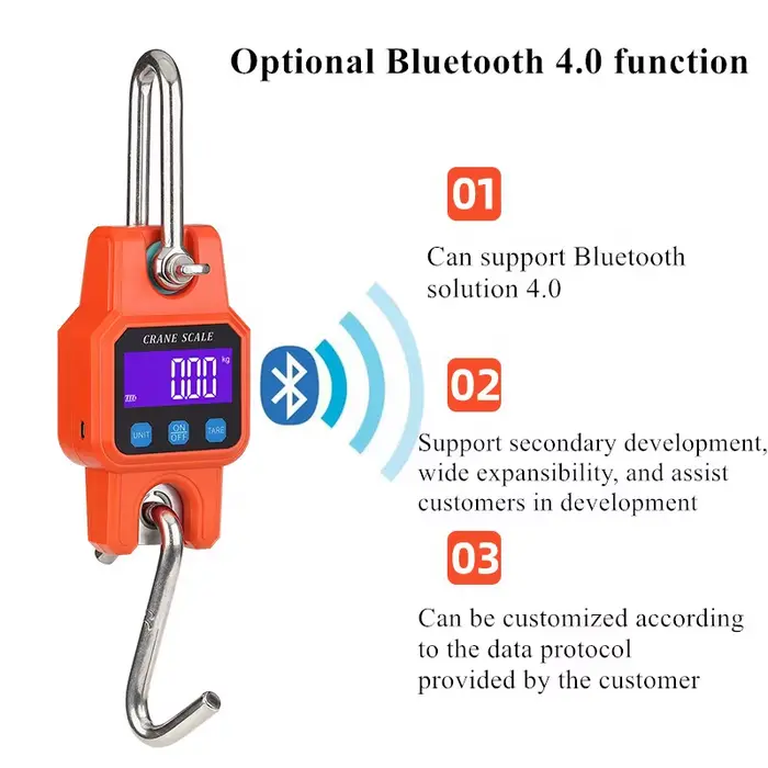 Pèse-bagage électronique Bluetooth crochet 300kg/50g pour pêche, industrie, voyage - Balance digitale robuste