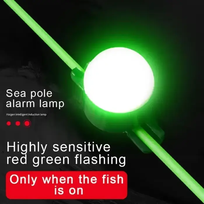 Alarme lumineuse LED intelligente pour pêche nocturne - Détecteur de touches avec rappel lumineux
