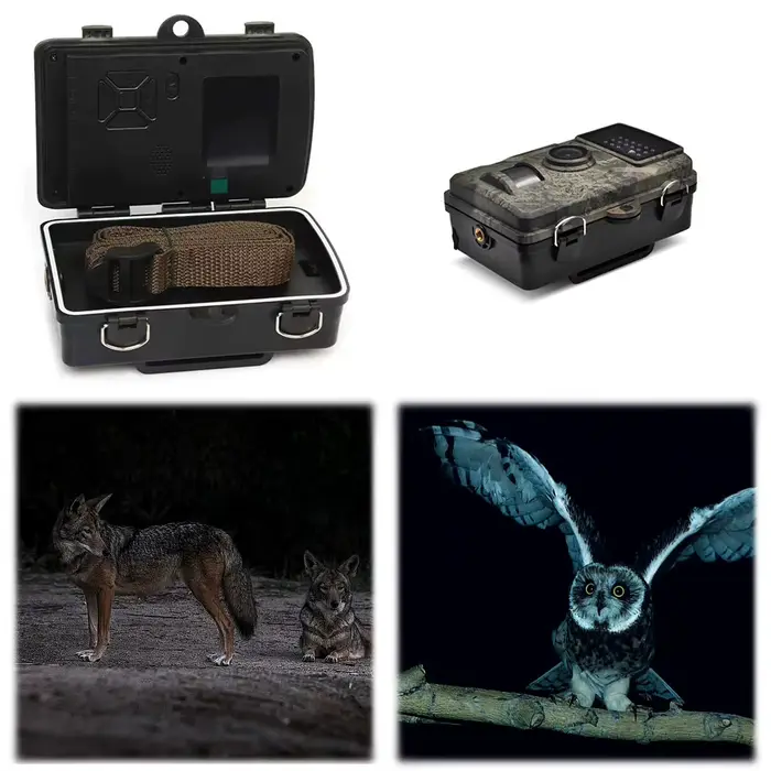 Caméra de chasse étanche vision nocturne infrarouge - Détection de mouvement pour traque et sécurité extérieure