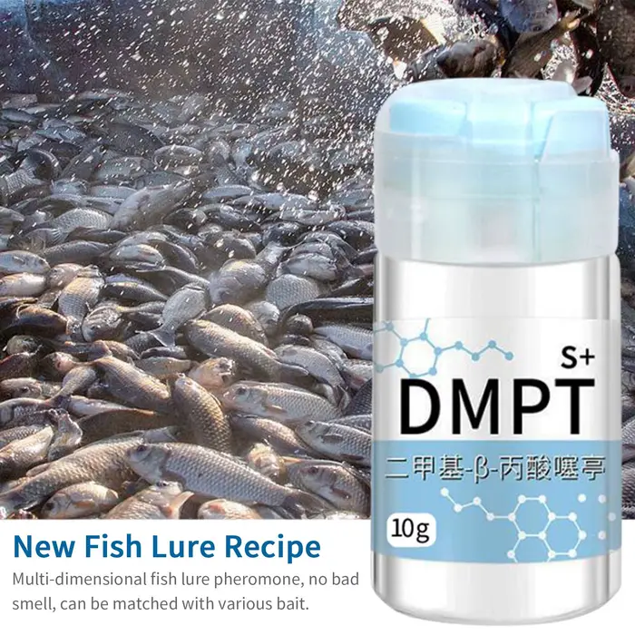 Gel attractant pour poissons 10g - Appât puissant naturel soluble pour crevettes, carpes et tilapias
