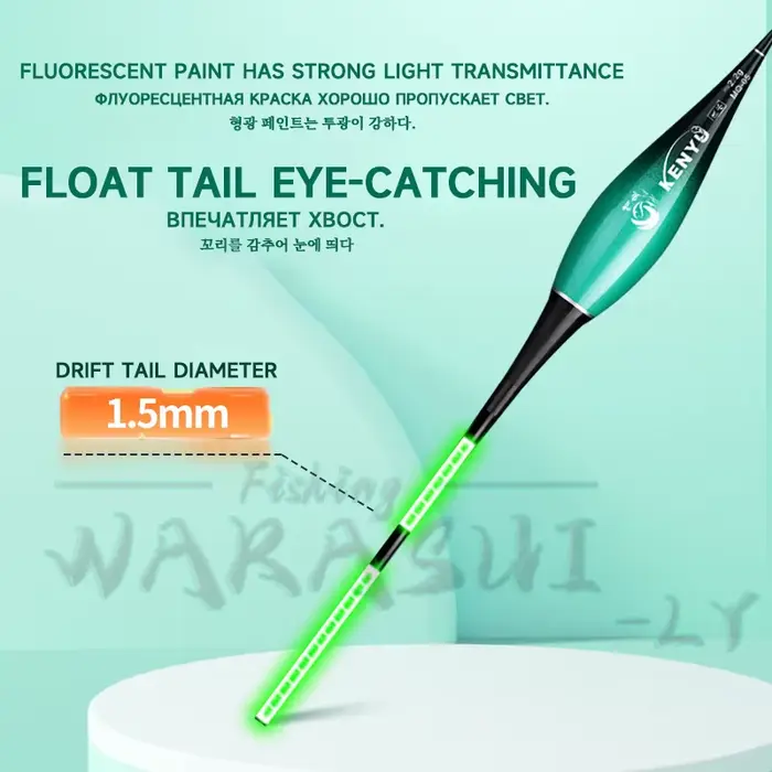 Set 2 pièces flotteur électronique LED 2024 haute sensibilité pour pêche nocturne - équipement nano