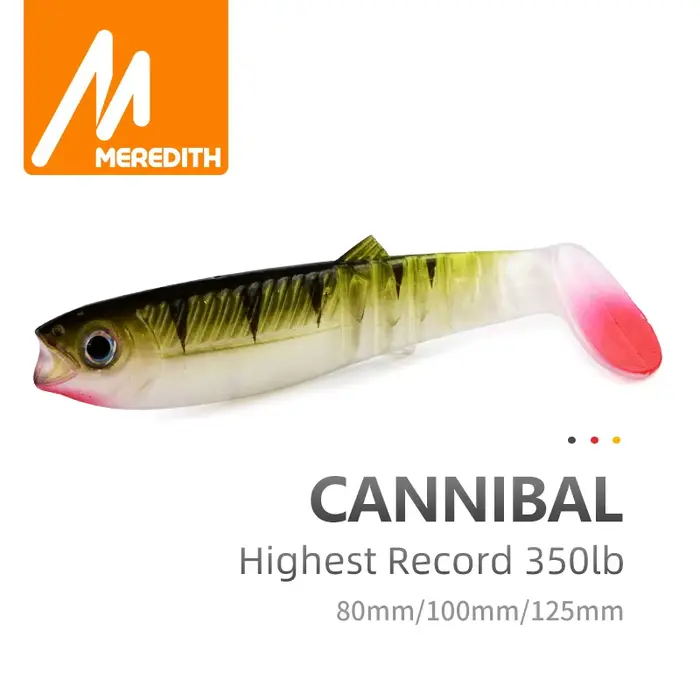 Leurre souple silicone MEREDITH 80mm 100mm 125mm pour la pêche du bar, leurre shad et worm carnassier