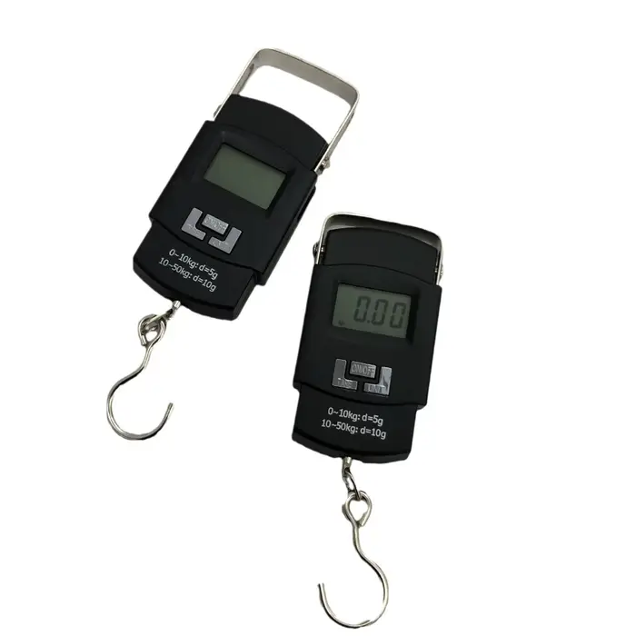 Balance digitale portable 50KG haute précision électronique pesée poissons capacité importante
