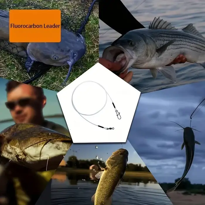 12 leurres de pêche pré-montés sur bas de ligne fluorocarbone 100% invisible, résistants à l'abrasion, avec