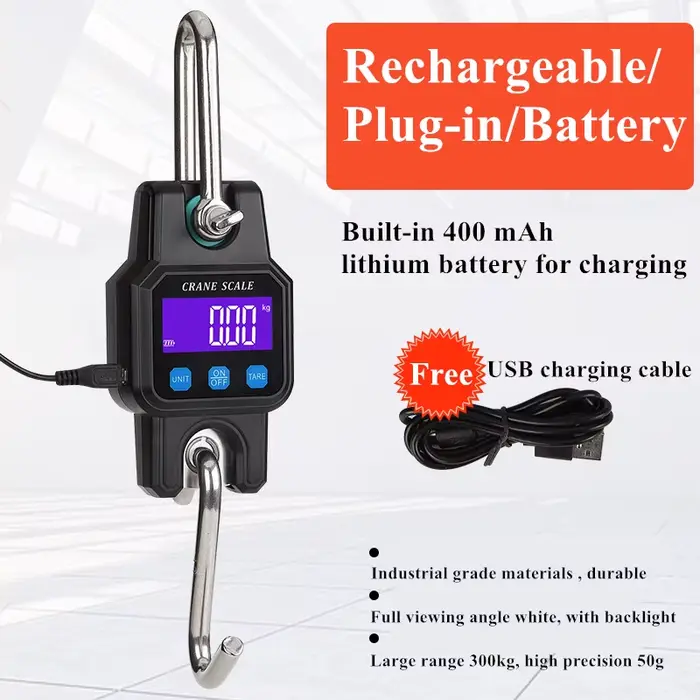 Balance électronique Bluetooth 300kg 50g - Pèse-brochet portable rechargeable