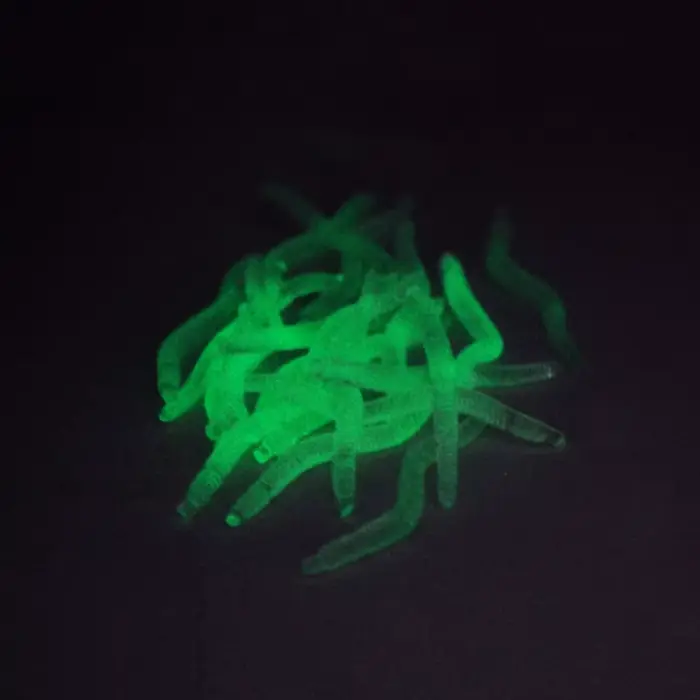 Leurre souple ver de terre fluorescent 35mm - 20-100 pièces avec odeur poisson et additif crevette pour bar et carpe