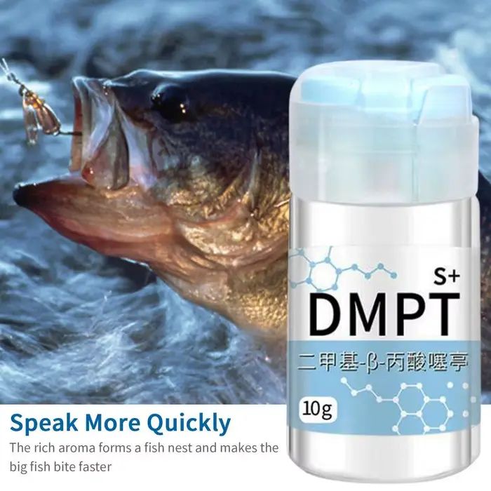 Gel attractant puissant pour poissons avec senteurs concentrées d'appâts naturels et additifs