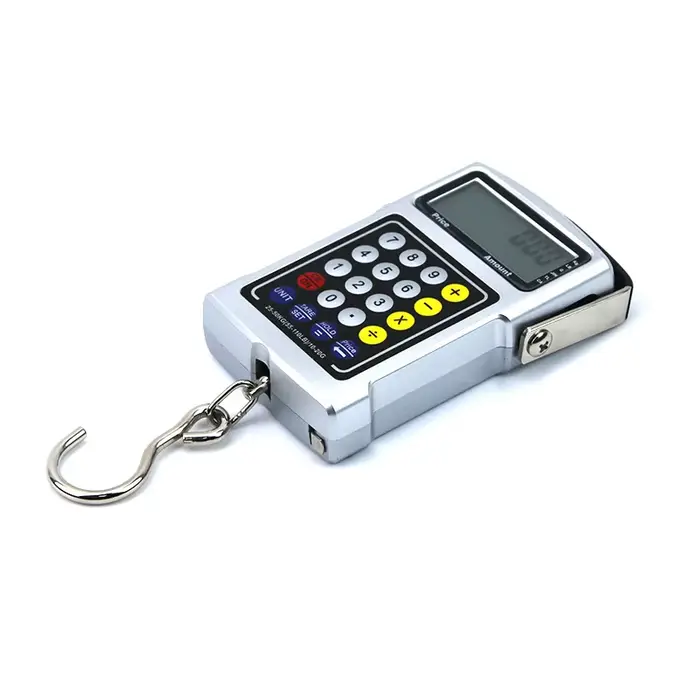 Balance électronique multifonction portable 50kg pêche bagages sansmen numérique pesage précis polyvalent