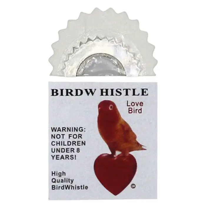 Sifflet oiseau caché dans bouche - appeleur magique pêche trucs divertissement outil amusement